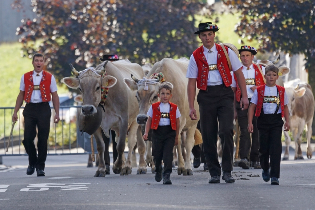 Traditioneller Alpaufzug in der Region Appenzell
